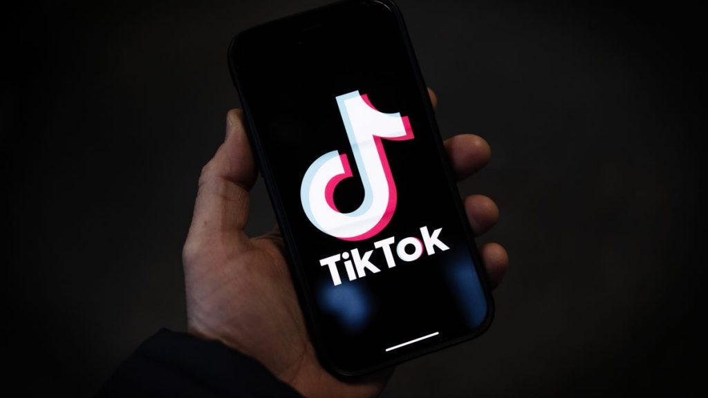 A data de lançamento do TikTok Notes ainda é desconhecida. O que sabemos sobre o aplicativo.