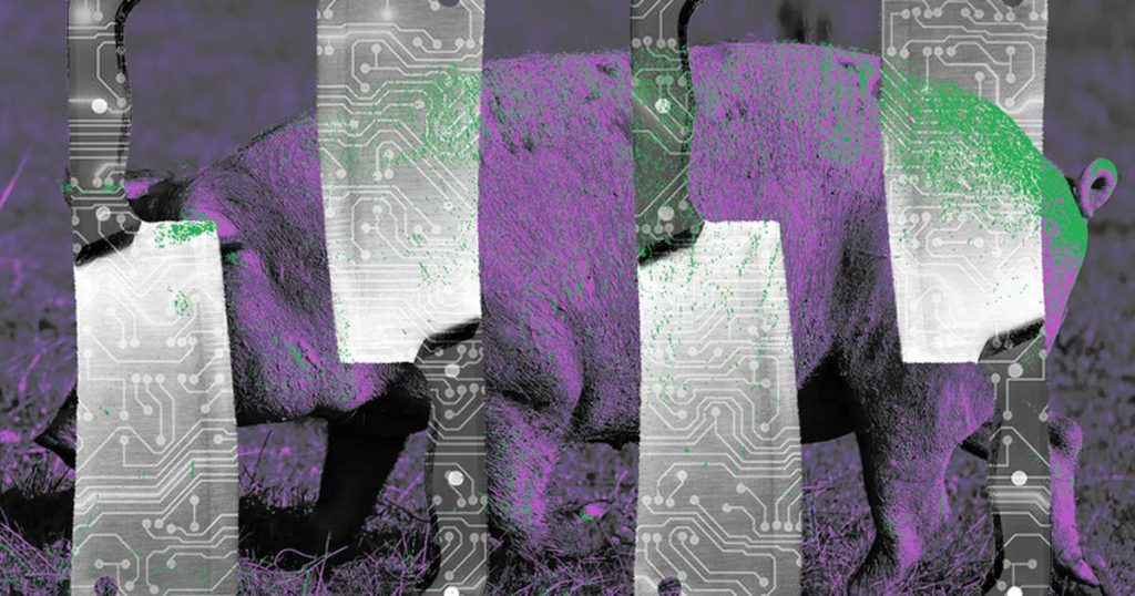 Google processa desenvolvedor de aplicativos chinês, alegando que milhares de pessoas foram enganadas em esquema de abate de porcos – DL News