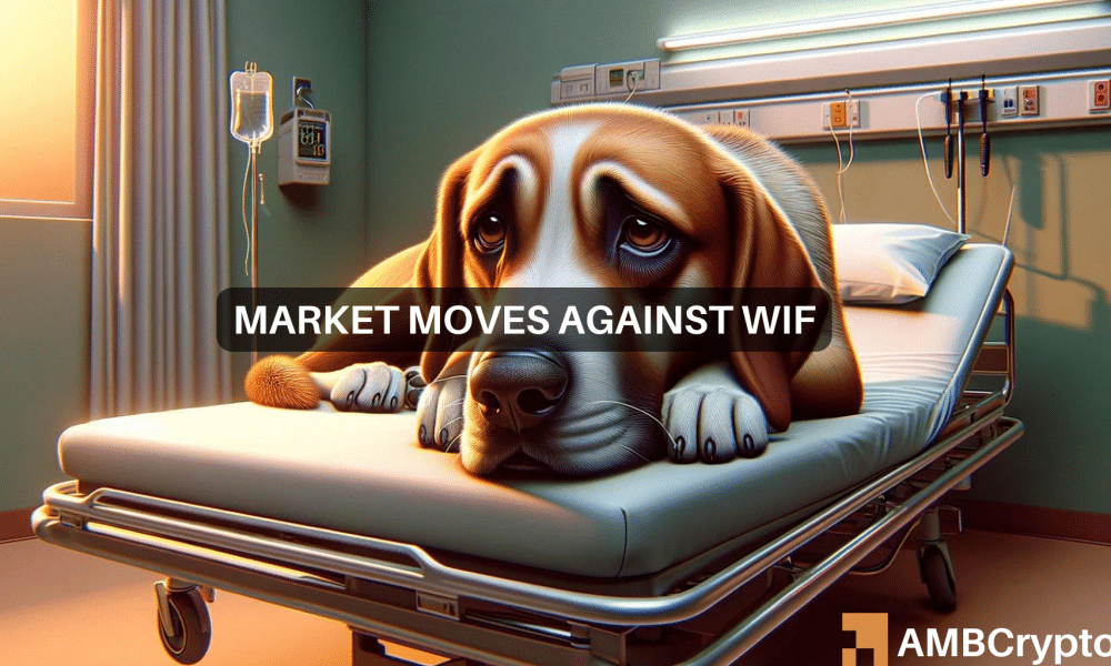 O WIF perdeu 12% em 24 horas – como os traders podem entender tudo isso?