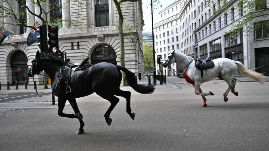 4 pessoas feridas no caos em Londres devido a cavalos soltos