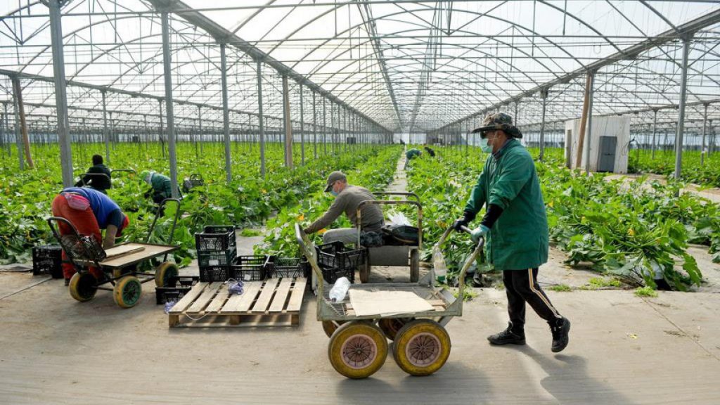 Especialistas em imigração dizem que cortar a imigração significará destruir a economia