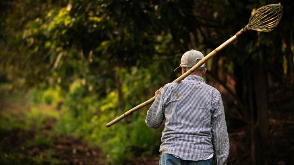 Um homem que foi escravizado em Bragança durante 17 anos. A PJ deteve quatro suspeitos.