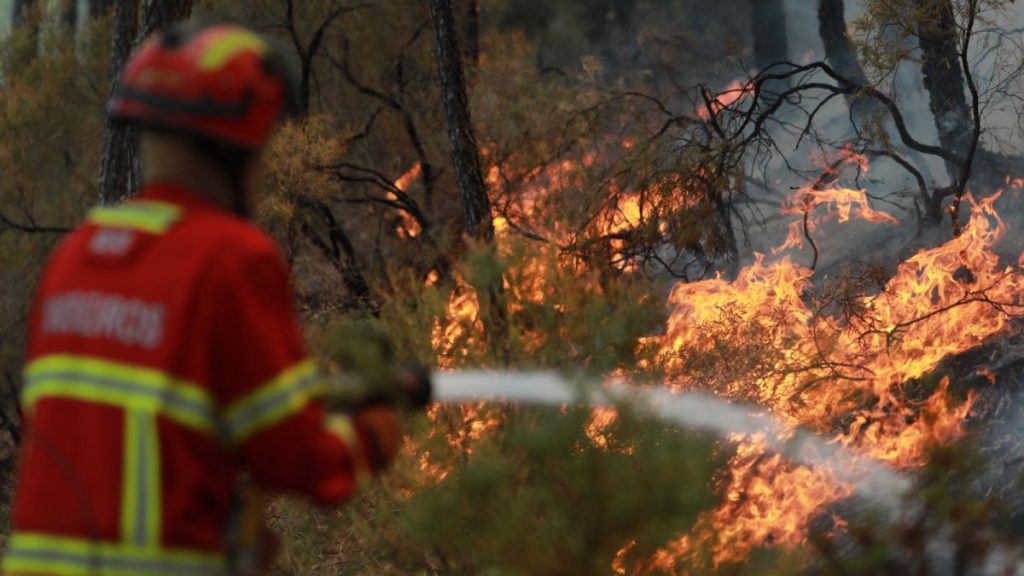 7 concelhos de Bragança com maior risco de incêndio