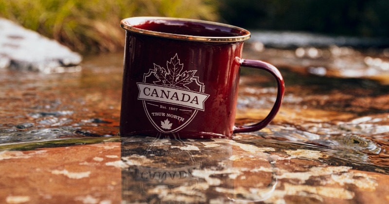 Você está planejando estudar no Canadá Atualmente, os estudantes internacionais só podem trabalhar 24 horas por semana?