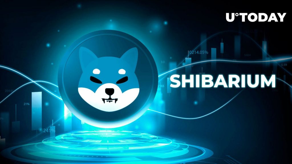 Shibari Amu de Shiba Inu dispara 60% em 24 horas nos principais indicadores da rede