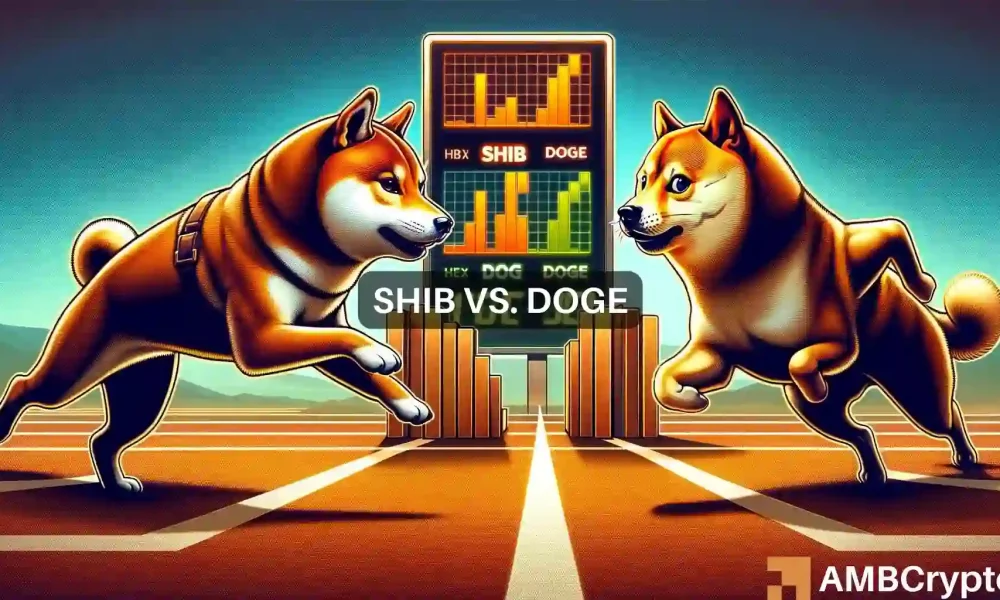 SHIB derrota DOGE em 24 horas: Será este o início de um novo amanhecer?