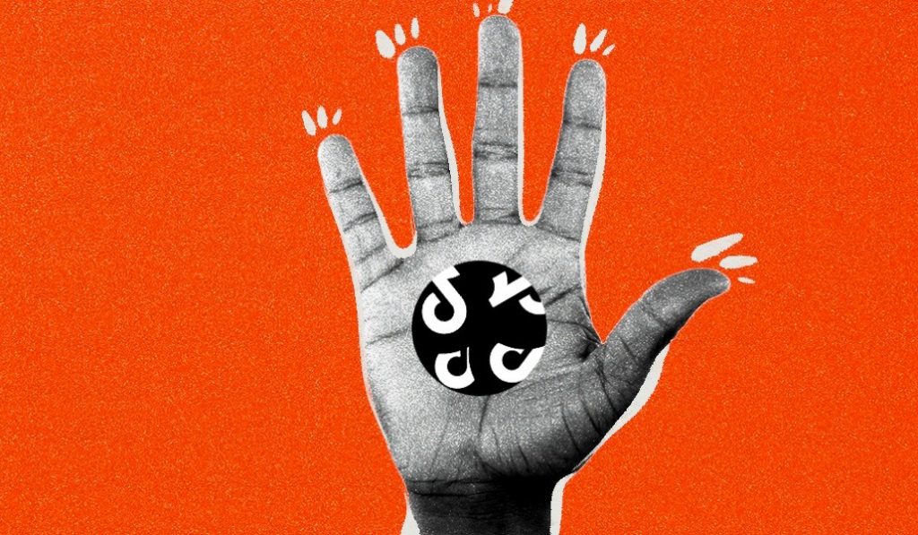 Briefing NewFronts: TikTok e Meta divulgam produtos de vídeo curtos e ferramentas de IA no último dia