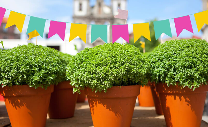 Gap convida toda a comunidade para a solidariedade Arraial