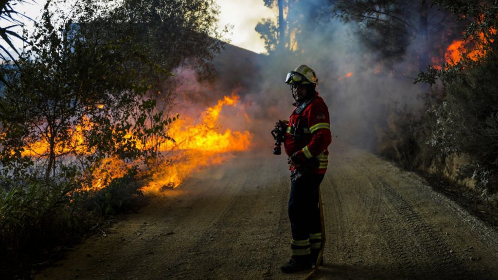 Queimada. GNR registou 533 crimes e deteve 16 pessoas até maio