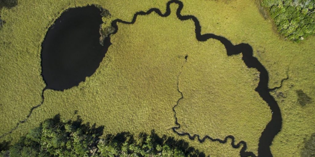 Usámos imagens de satélite e IA para ver quem está a cumprir os seus compromissos climáticos. Aqui está a realidade chocante que descobrimos