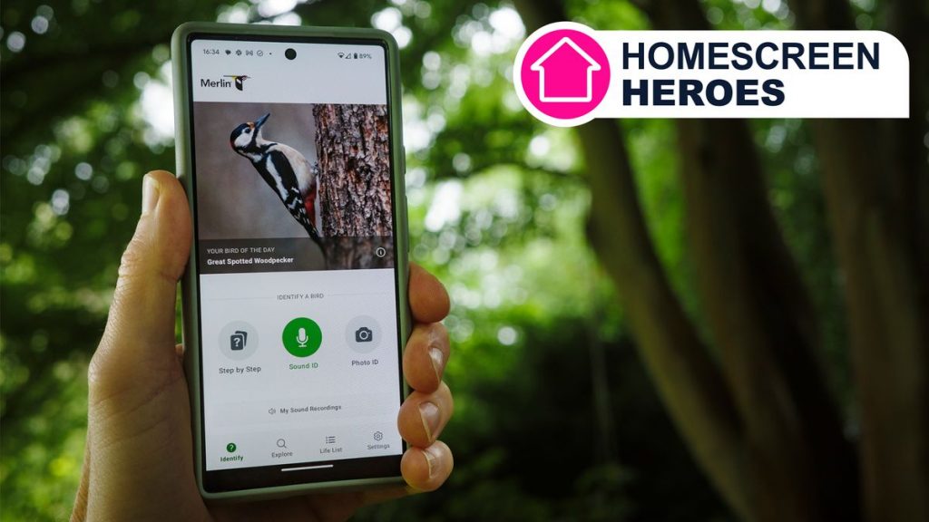 O aplicativo gratuito Merlin permite gravar e identificar milhares de cantos de pássaros e agora você está viciado