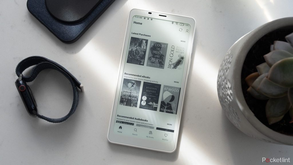 Palma de Boox é o gadget E Ink defeituoso que ajudou a impedir a rolagem do apocalipse