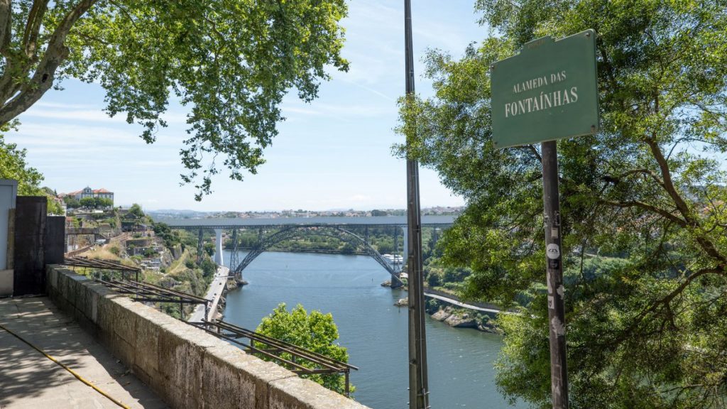 Ciclo de cinema ao ar livre arranca dia 26 de julho em Fonteñas, Porto