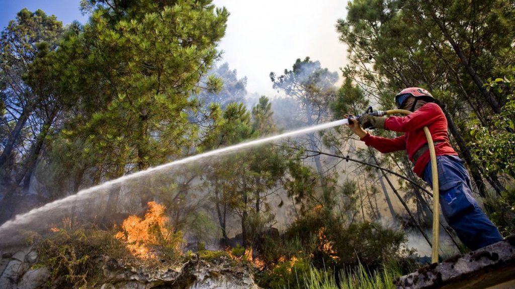 Autarcas de Vimioso e Bragança avaliam os prejuízos causados pelo incêndio de sábado