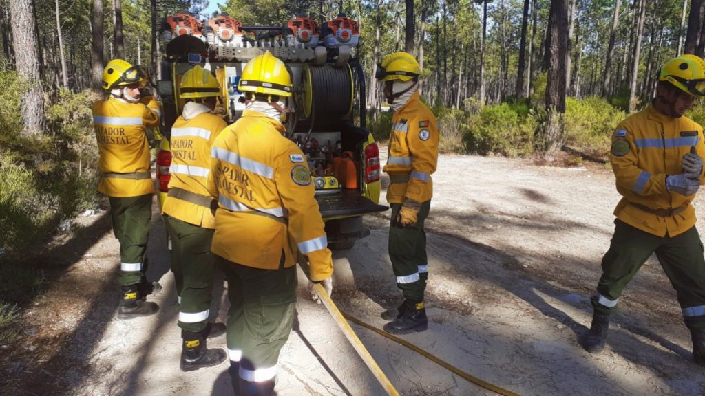 Governo aprova 1,5 milhões de euros para equipamentos de proteção para trabalhadores florestais