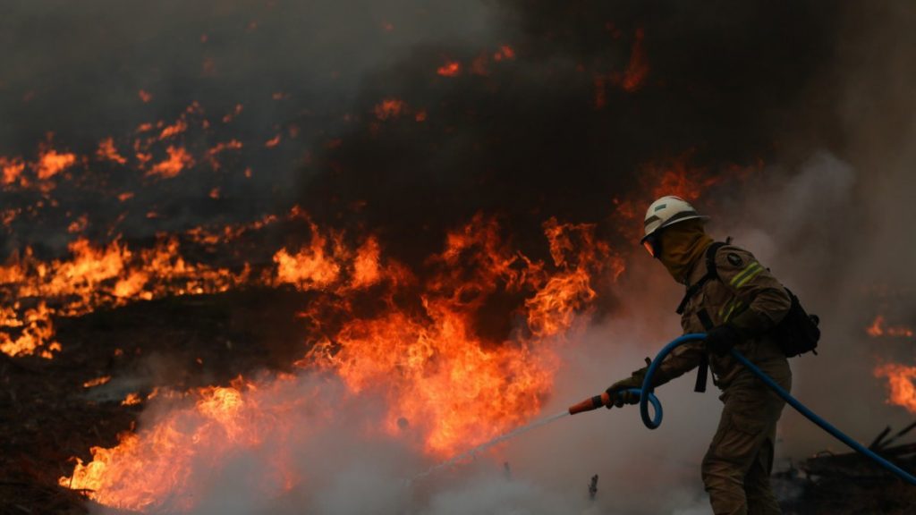 fogo. Miranda do Douro apela ao governo para ajudar nos danos causados pelos incêndios