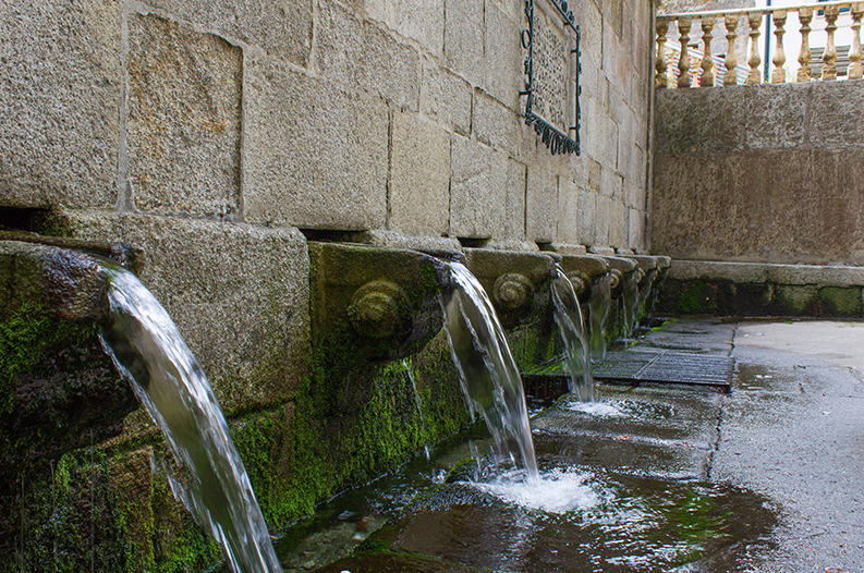 Boas notícias para a Senhora da Hora