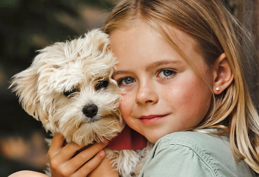 MAR marcas de compras do Dia Mundial Animal com Evento de Solidariedade