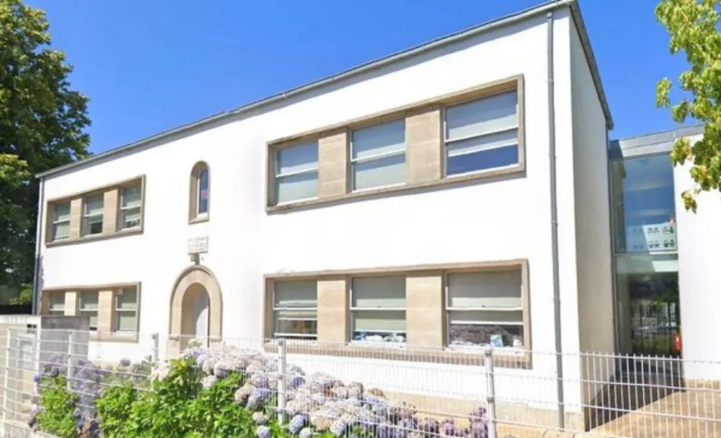 Escola de Matosinhos contra abate de árvores no parque infantil. Câmara invoca insegurança